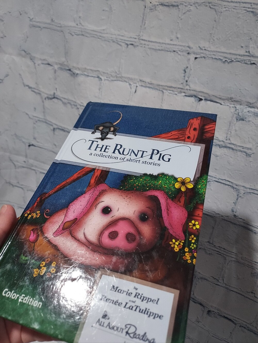 All About Reading Level 1 Reader Run, Bug Run! The Runt Pig, Cobweb The Cat FAIR - Picture 10 of 14